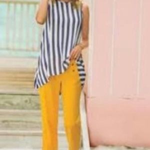 Soft Surroundings Blue Cabana Stripe Tunic Tank Top
